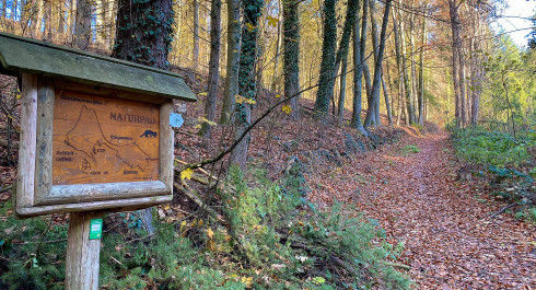 Aire de jeux thématique du Limpertsberg sur le thème de l'escalade et du saut