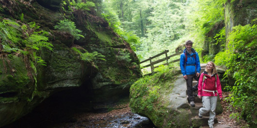 Nature & Castle Day Tour